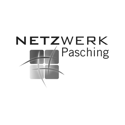 Netzwerk Pasching